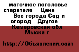 маточное поголовье старателя  › Цена ­ 3 700 - Все города Сад и огород » Другое   . Кемеровская обл.,Мыски г.